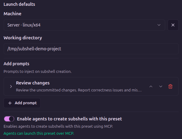 Launch defaults showing the Server machine, a project directory, Review changes prompt, and enabled agent-created launches.